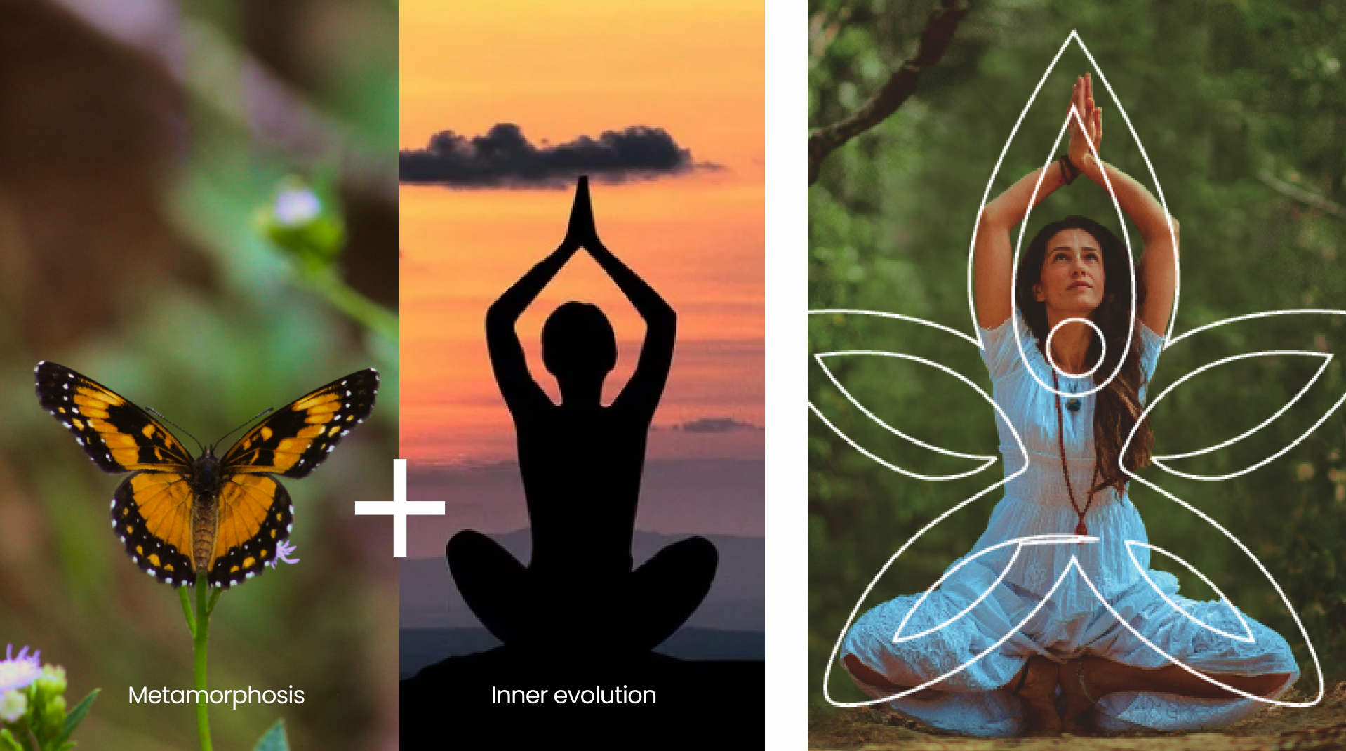 Kosa Wellness: Designing a Serene Yoga Brand Identity